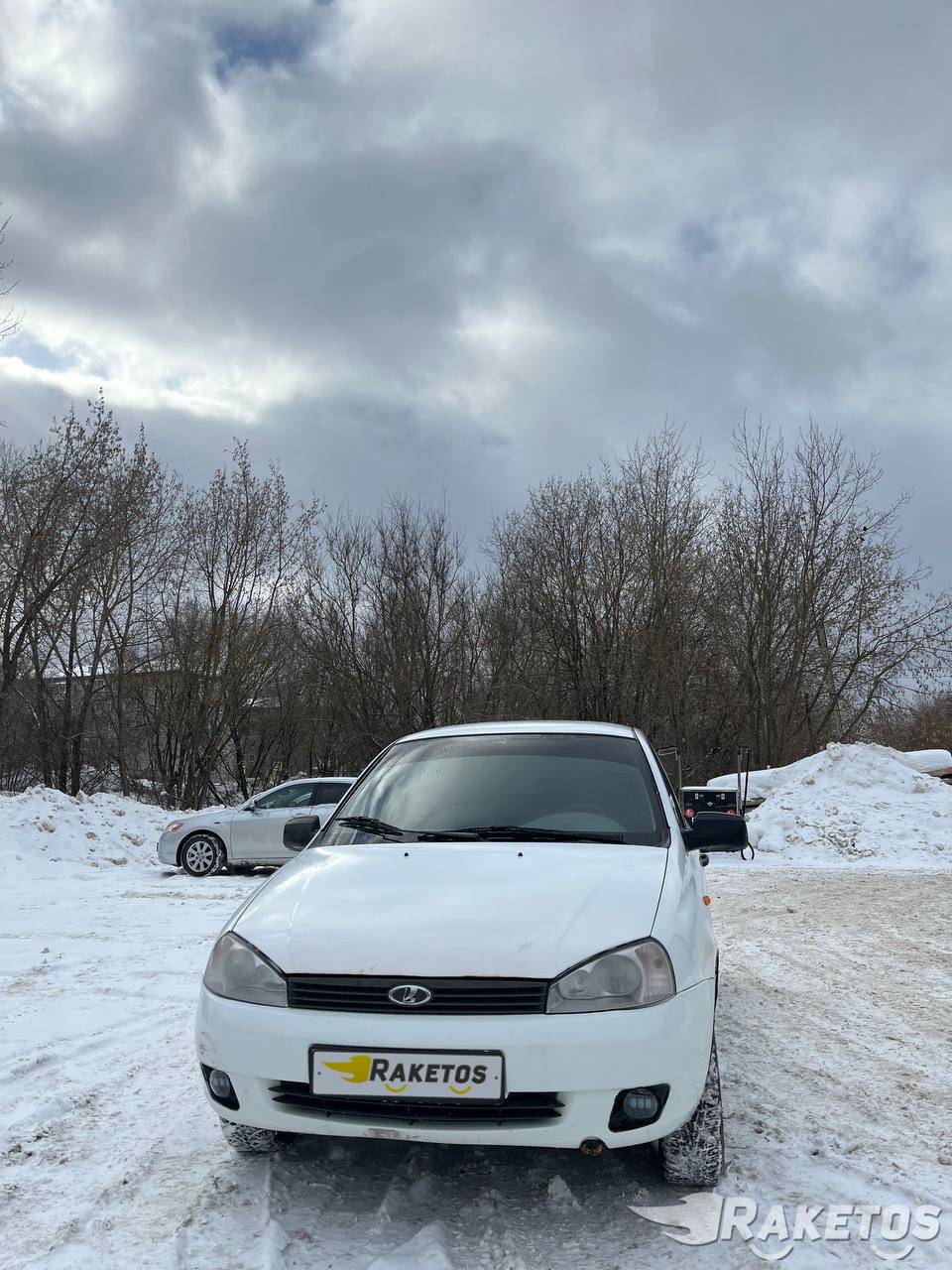 Калина город